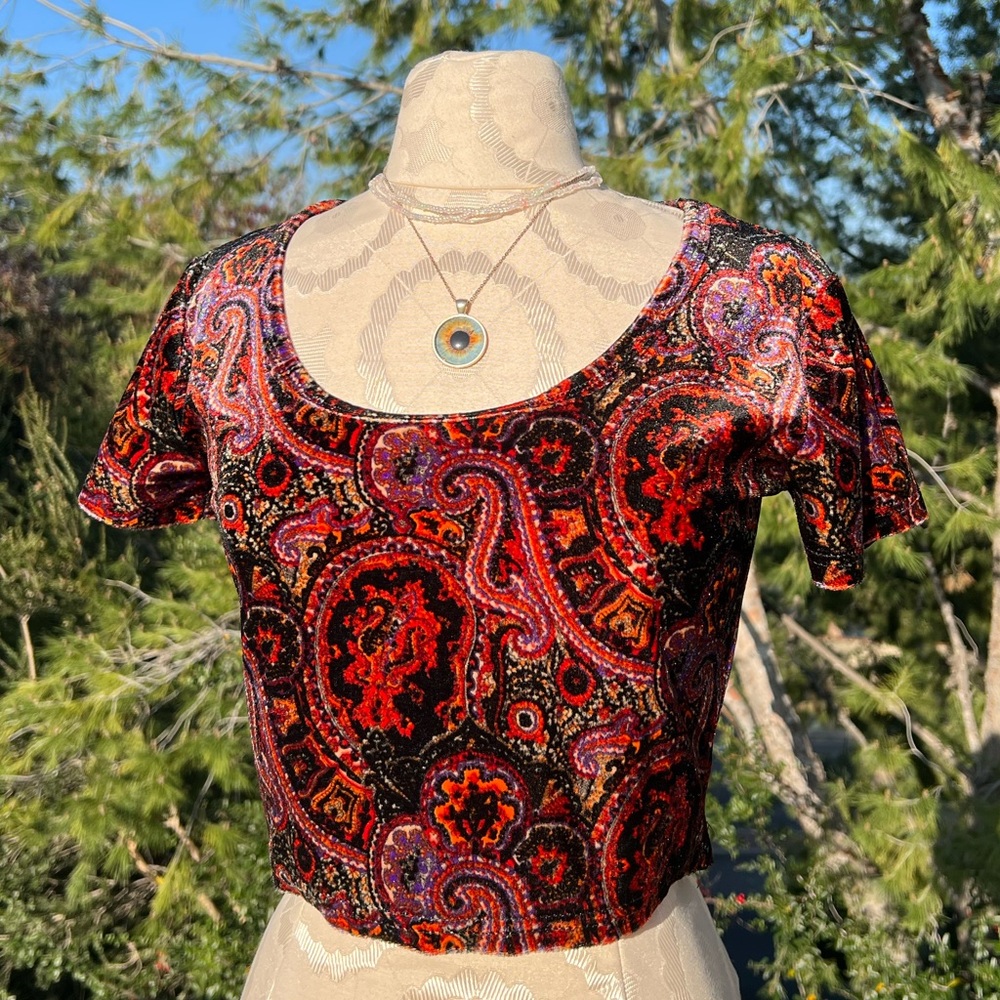 velvet crop top